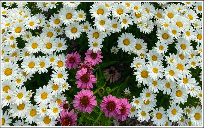 How to Control Acne Without Long Term Damage to Your Skin or Body