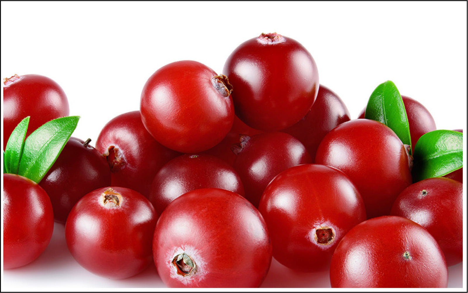 Cranberry Seed Oil and Cranberry Seed Fruit. Wow!