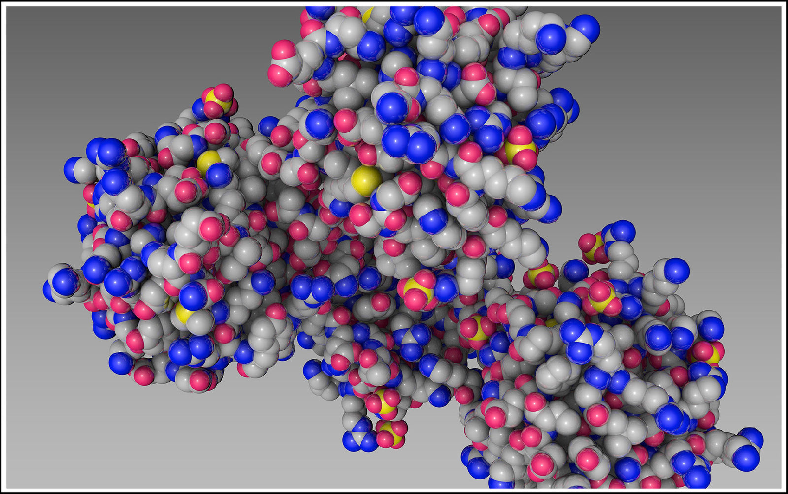 It's the Fatty Acids That Really Matter