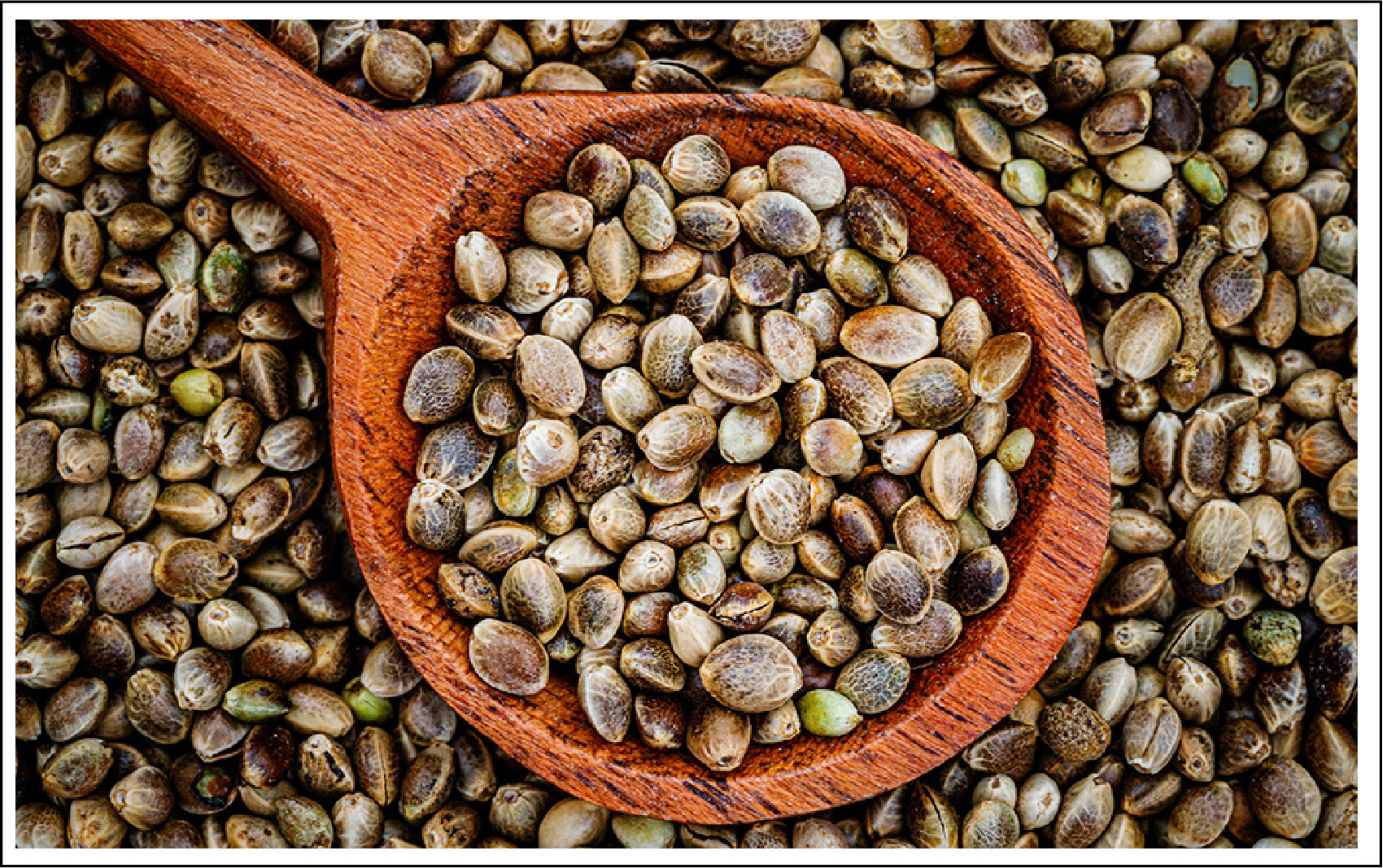 Hemp Seed Oil is a Powerhouse of Vitamins and Nutrients for Your Skin
