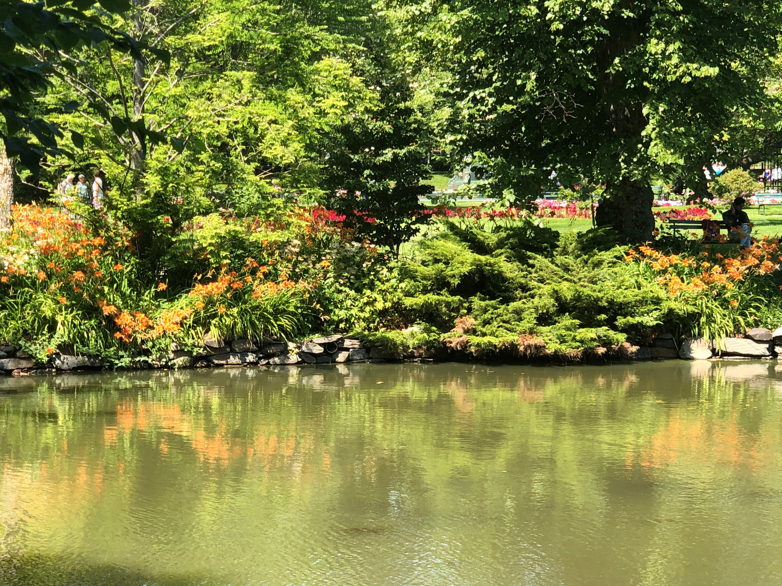 Luminance Skincare. 100% Plant Based. Organic. Non-Synthetic. Clean