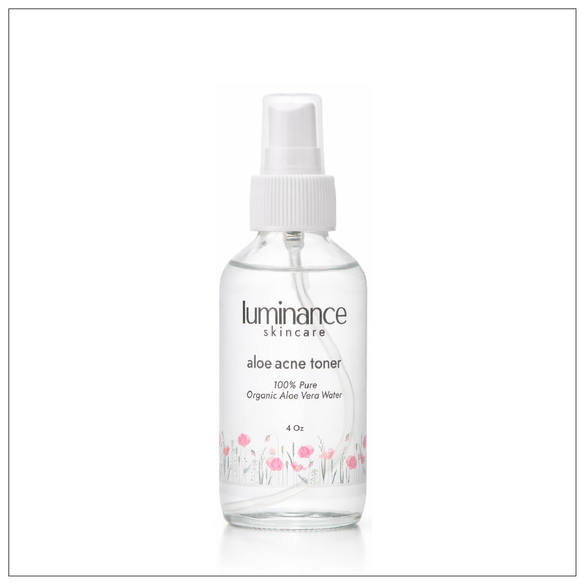 Acne Aloe Facial Toner