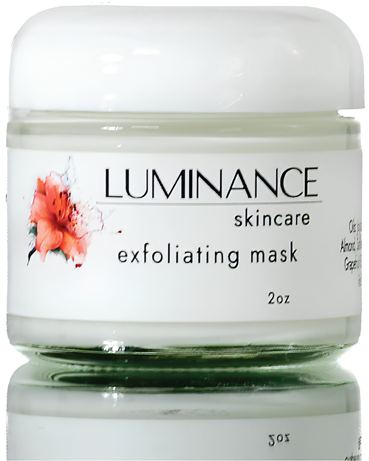 Luminance Skincare Exfoliating Mask. 100% Plant Based. Organic. Non Abrasive. Clean.